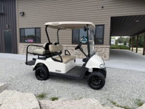 2010 E-Z-GO RXV