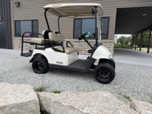 2010 E-Z-GO RXV